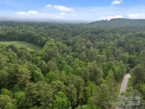 000 Red Fox Lane Flat Rock NC 28731