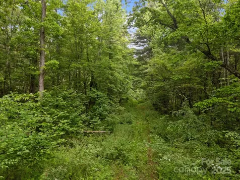 000 Red Fox Lane Flat Rock NC 28731