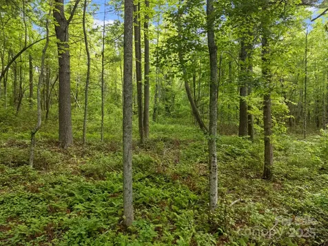 000 Red Fox Lane Flat Rock NC 28731