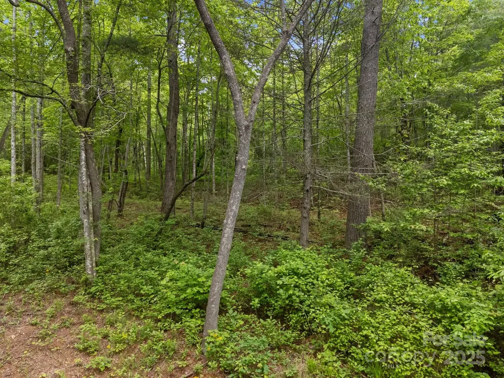 000 Red Fox Lane Flat Rock NC 28731