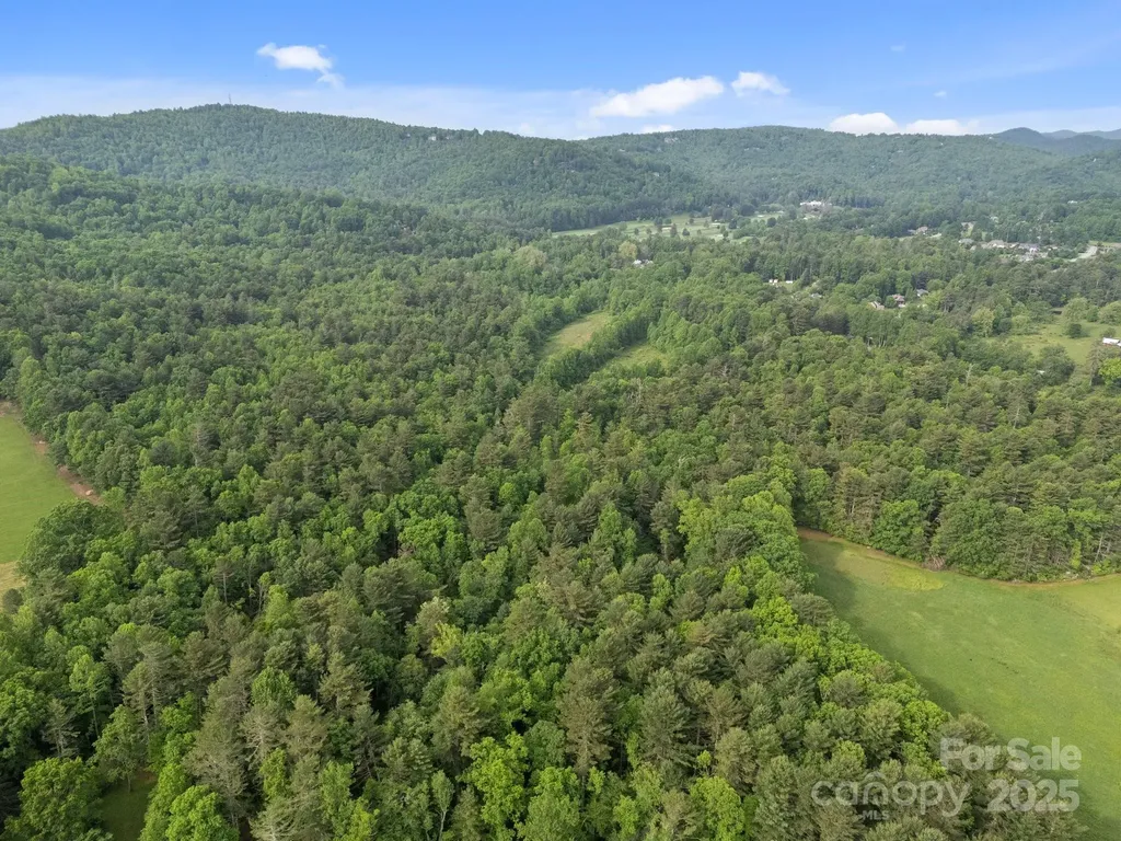000 Red Fox Lane Flat Rock NC 28731