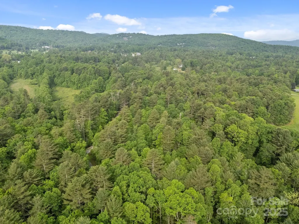 000 Red Fox Lane Flat Rock NC 28731