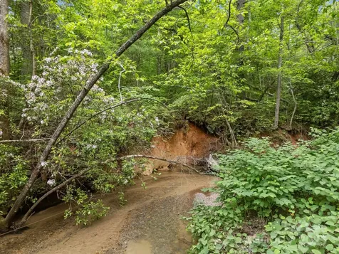 000 Red Fox Lane Flat Rock NC 28731