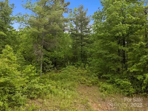 000 Red Fox Lane Flat Rock NC 28731