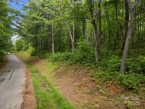 000 Red Fox Lane Flat Rock NC 28731