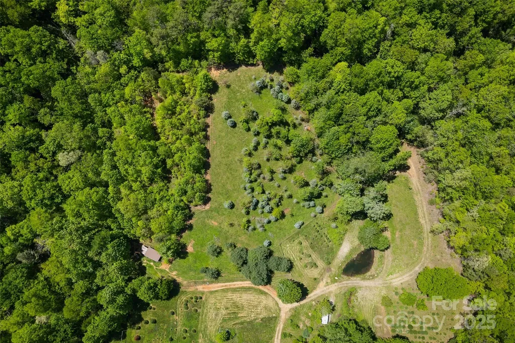 1557 Shoal Creek Road Balsam Grove NC 28708