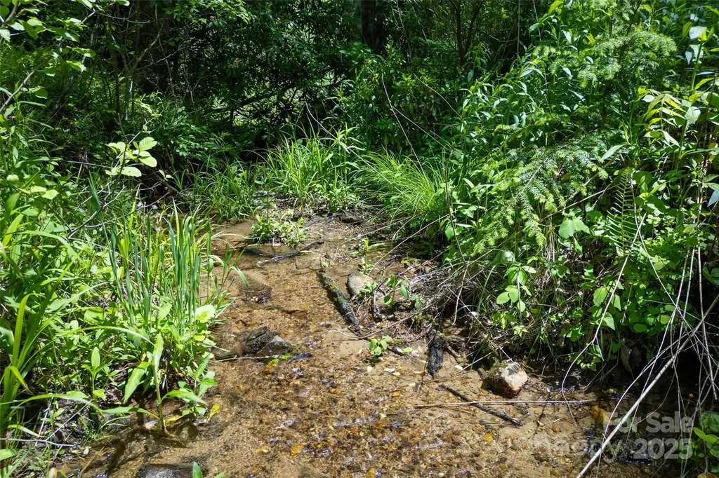 1557 Shoal Creek Road Balsam Grove NC 28708