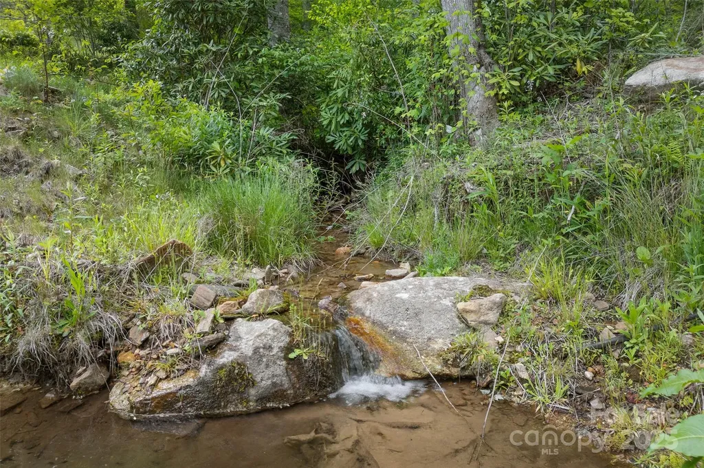 1557 Shoal Creek Road Balsam Grove NC 28708