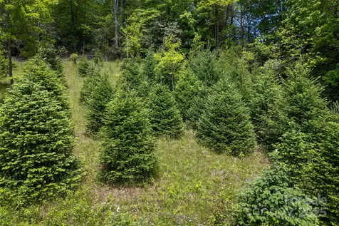 1557 Shoal Creek Road Balsam Grove NC 28708