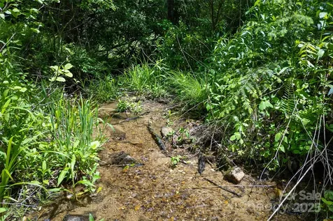 1557 Shoal Creek Road Balsam Grove NC 28708