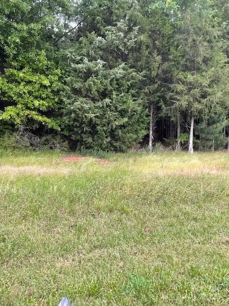 Lot 44 Woodglenn Road Catawba SC 29704