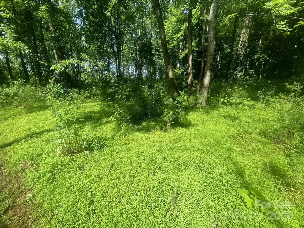 Lot 149 Lookout Dam Road Statesville NC 28625