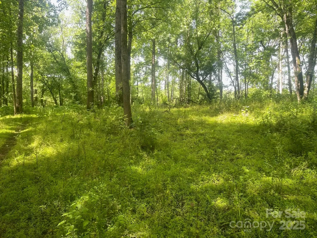 Lot 149 Lookout Dam Road Statesville NC 28625