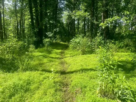 Lot 149 Lookout Dam Road Statesville NC 28625