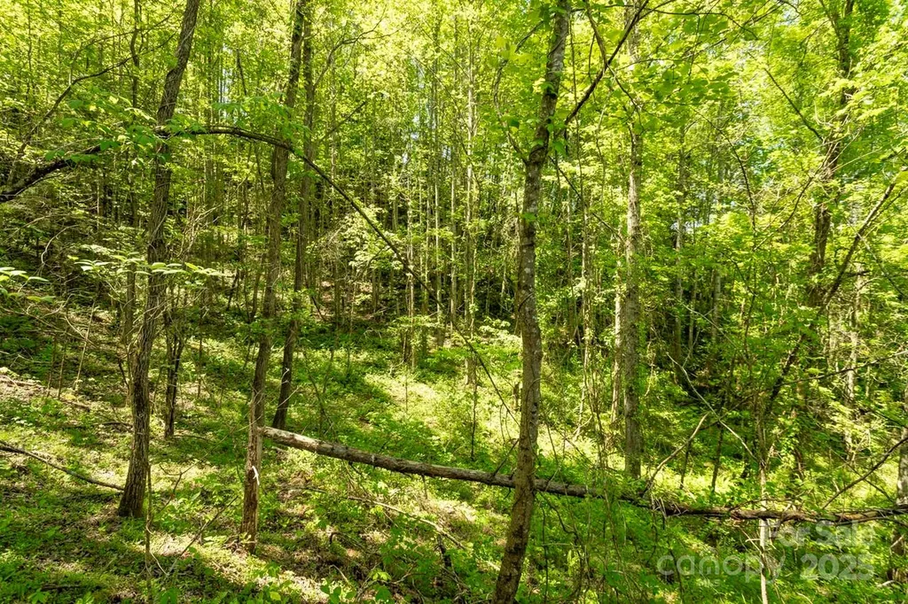 Off Of Locust Creek Road Sylva NC 28779