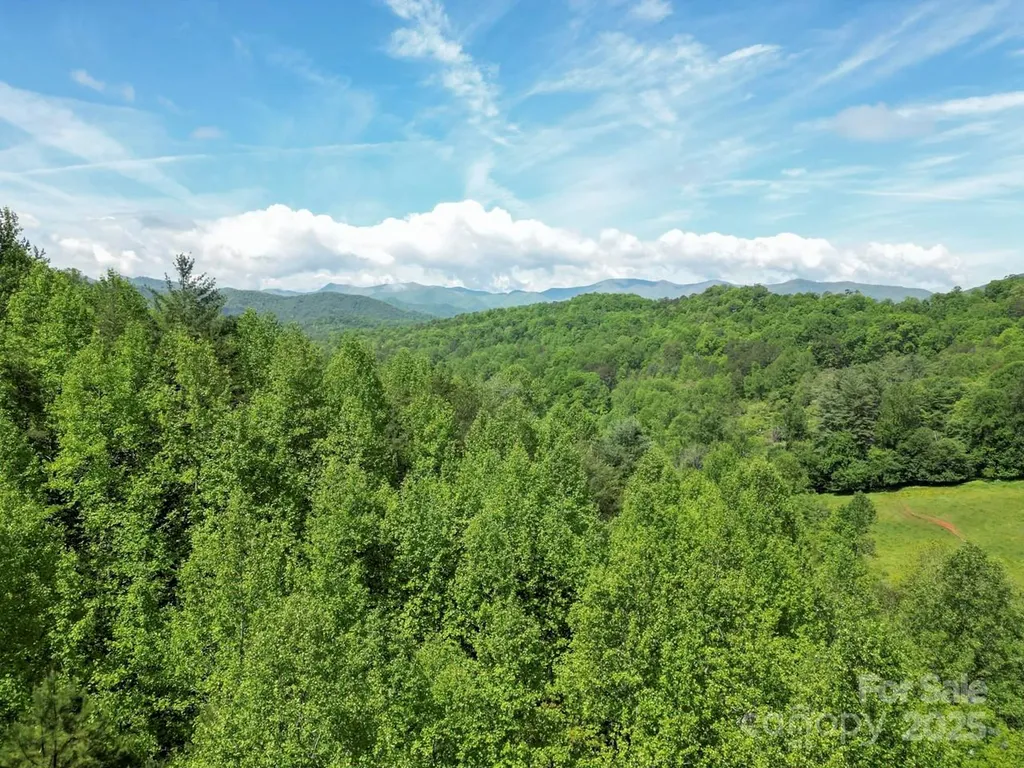 Off Of Locust Creek Road Sylva NC 28779