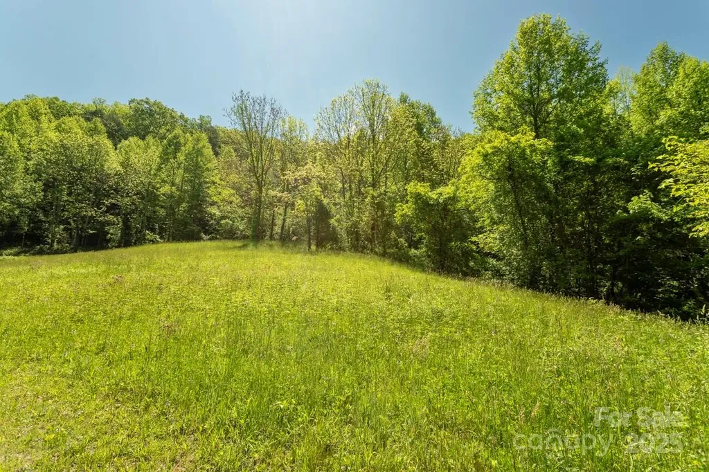 Off Of Locust Creek Road Sylva NC 28779