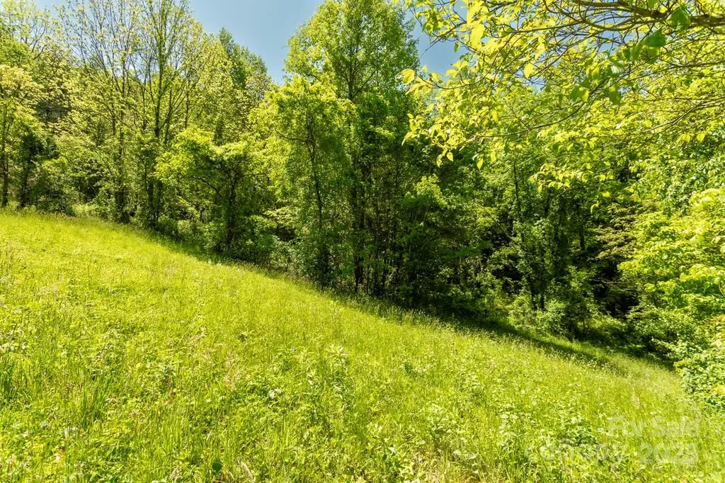 Off Of Locust Creek Road Sylva NC 28779