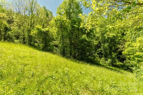 Off Of Locust Creek Road Sylva NC 28779