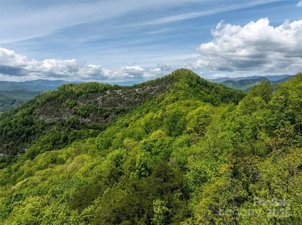 444 Woodring Cemetery Road Tuckasegee NC 28783