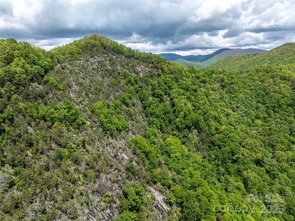 444 Woodring Cemetery Road Tuckasegee NC 28783