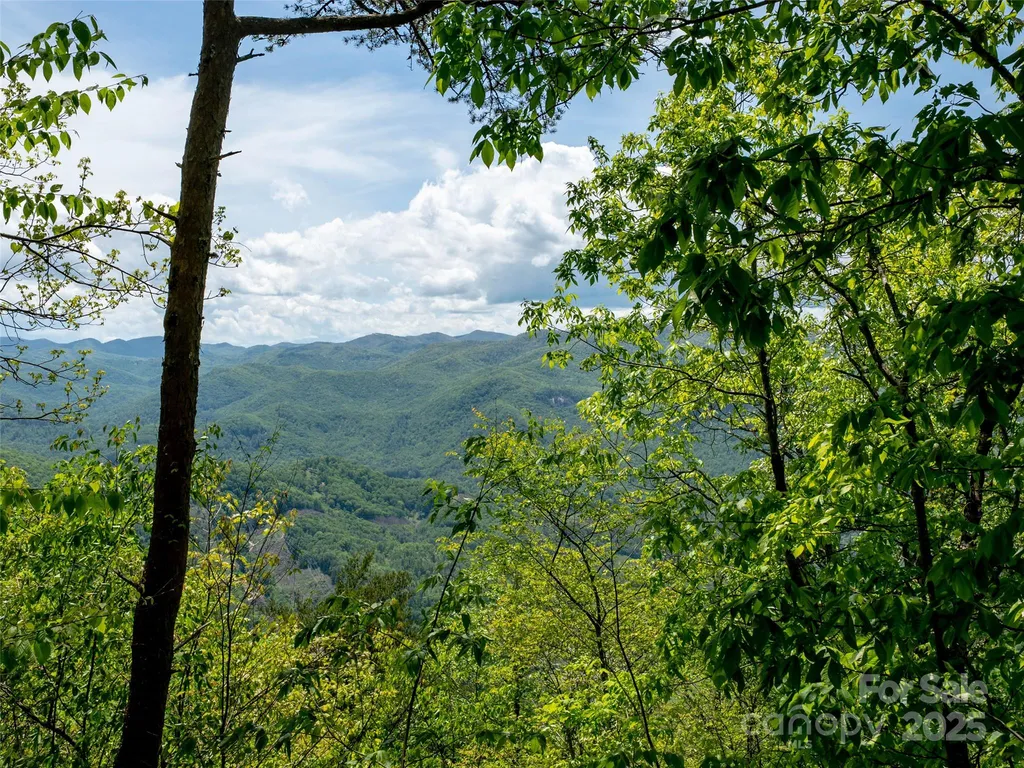 444 Woodring Cemetery Road Tuckasegee NC 28783