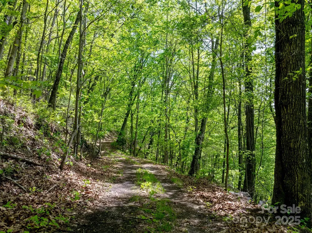 444 Woodring Cemetery Road Tuckasegee NC 28783