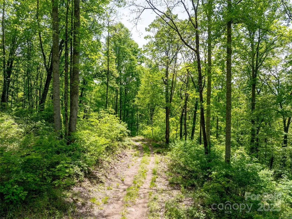 444 Woodring Cemetery Road Tuckasegee NC 28783