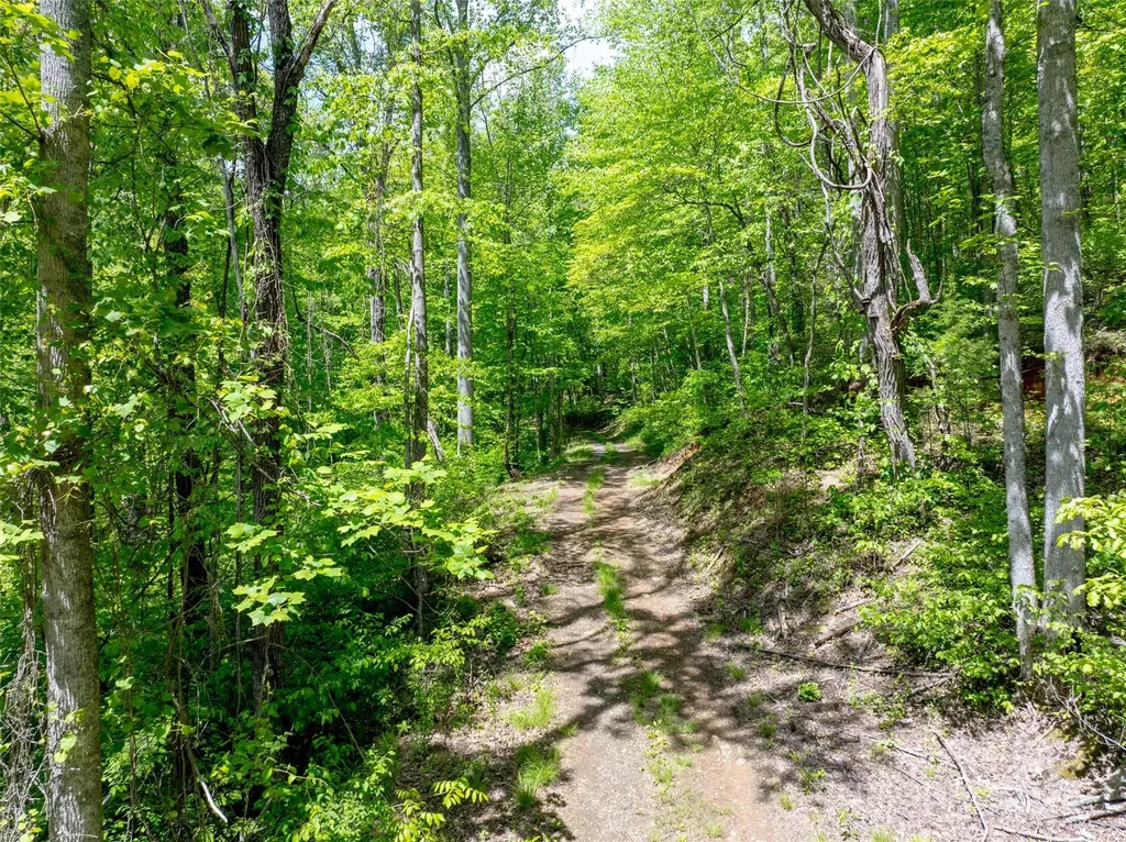444 Woodring Cemetery Road Tuckasegee NC 28783