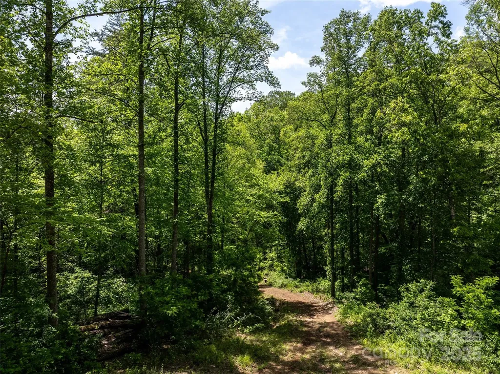 444 Woodring Cemetery Road Tuckasegee NC 28783