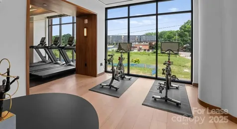300 E 36th Street Charlotte NC 28206