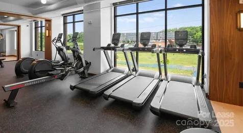 300 E 36th Street Charlotte NC 28206