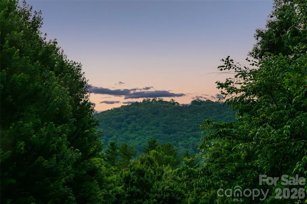 20 East Owl Creek Lane Fairview NC 28730