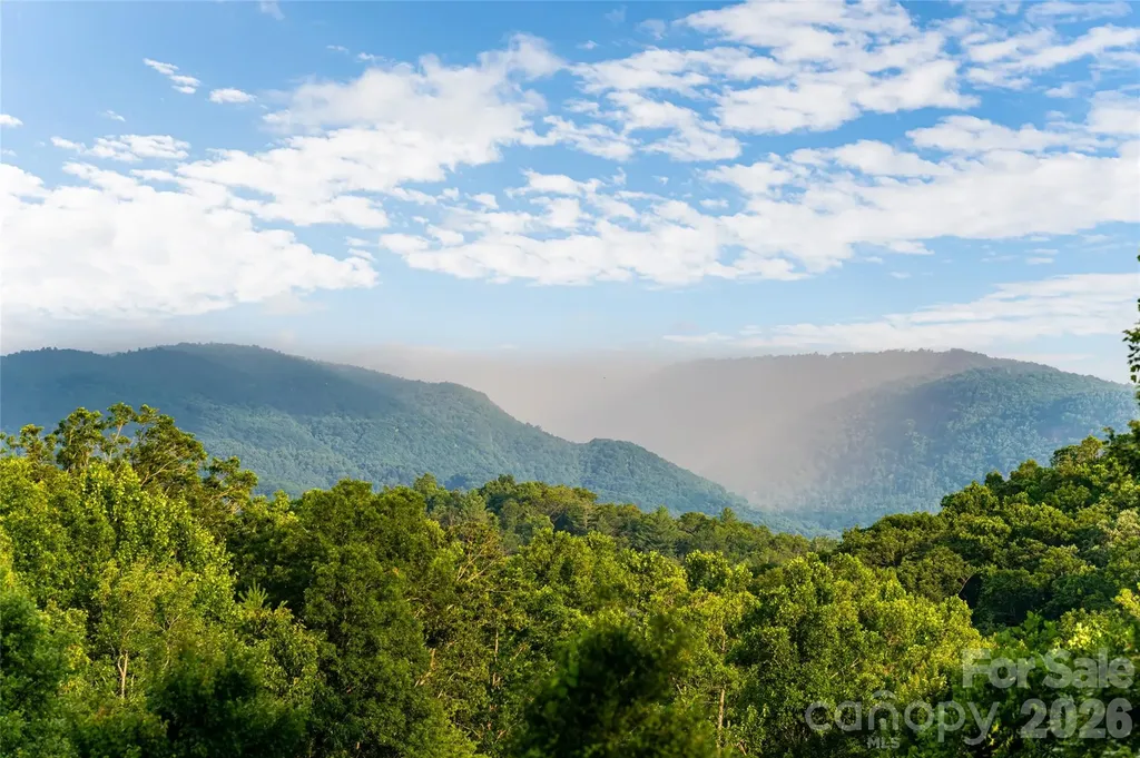 20 East Owl Creek Lane Fairview NC 28730