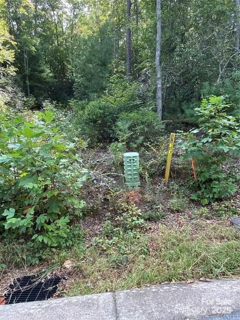 26 Erin Glen Court Fairview NC 28730