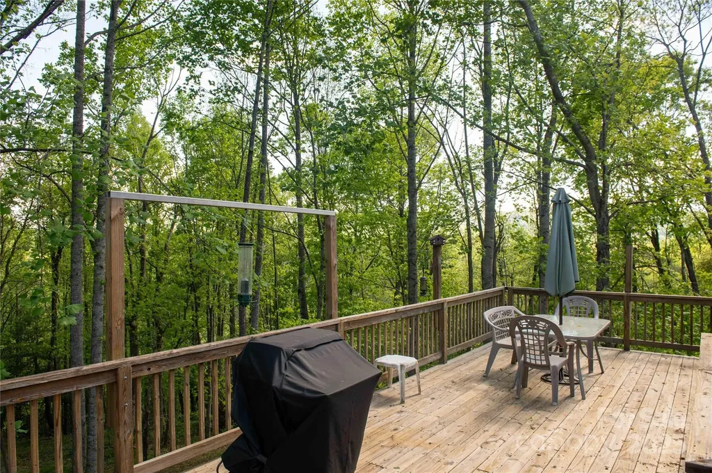 120 Powderhorn Drive Burnsville NC 28714