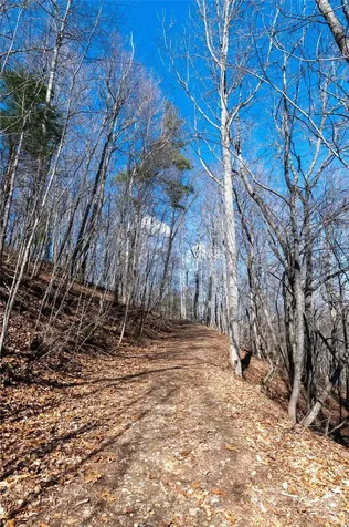 120 Powderhorn Drive Burnsville NC 28714
