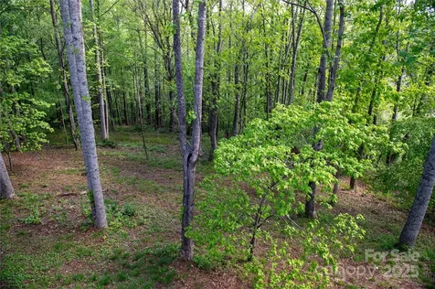 120 Powderhorn Drive Burnsville NC 28714