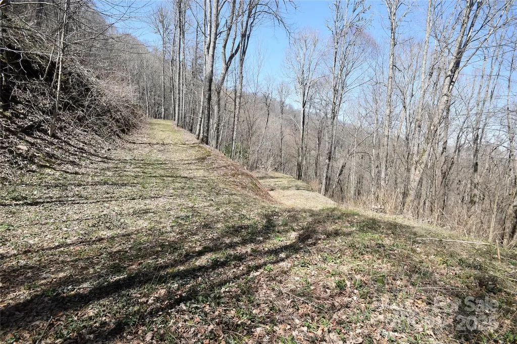 000 Big Laurel Road Waynesville NC 28785