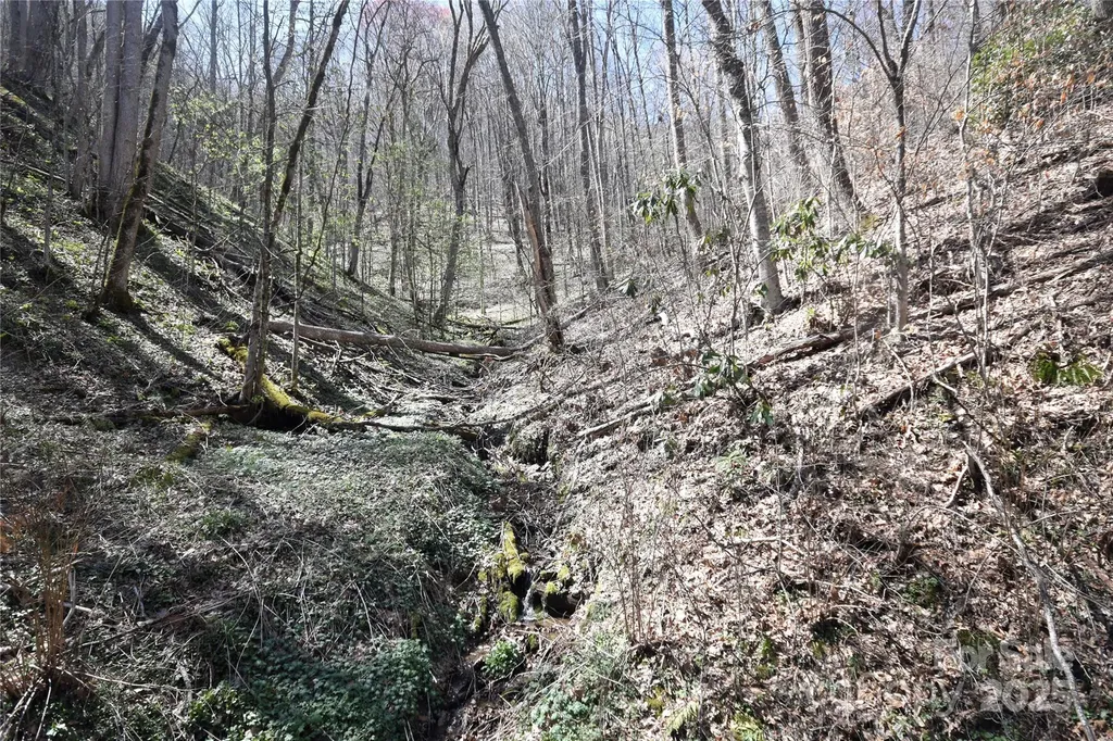 000 Big Laurel Road Waynesville NC 28785