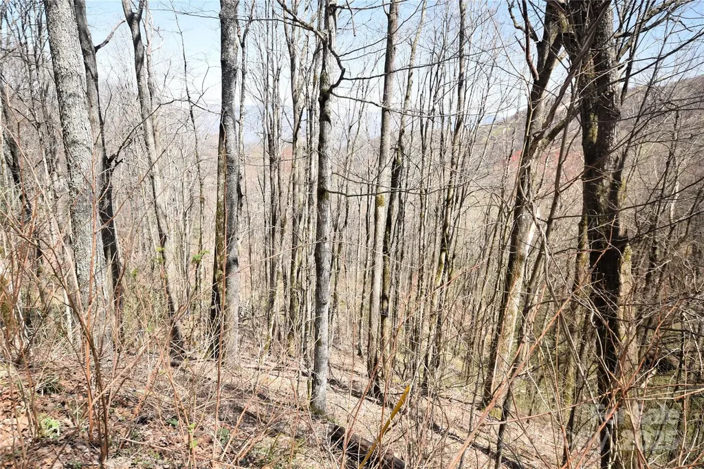 000 Big Laurel Road Waynesville NC 28785