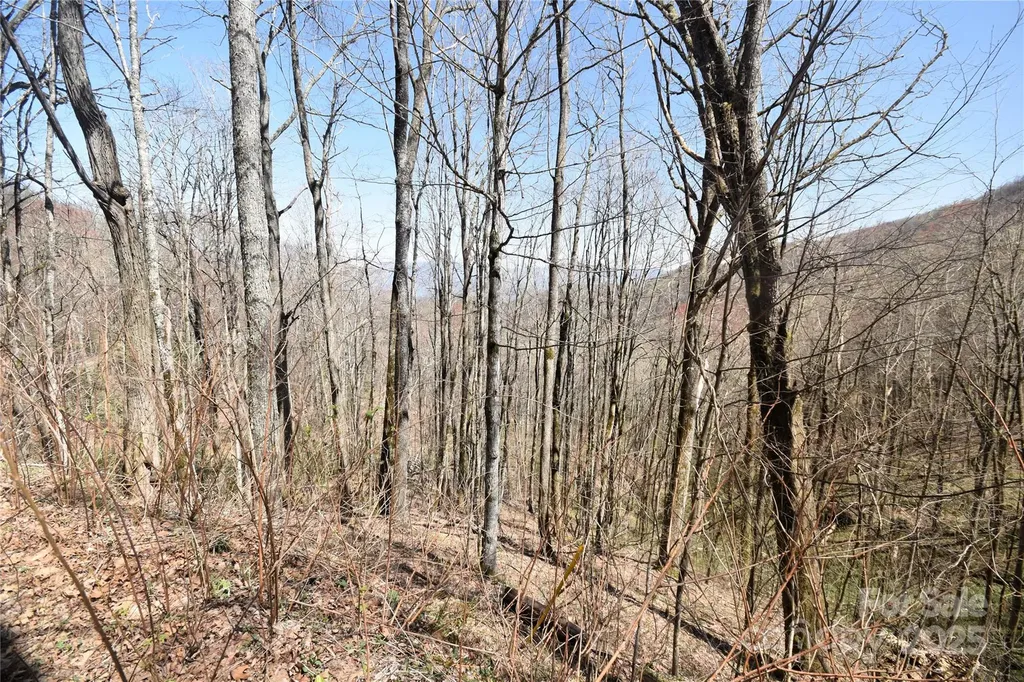 000 Big Laurel Road Waynesville NC 28785