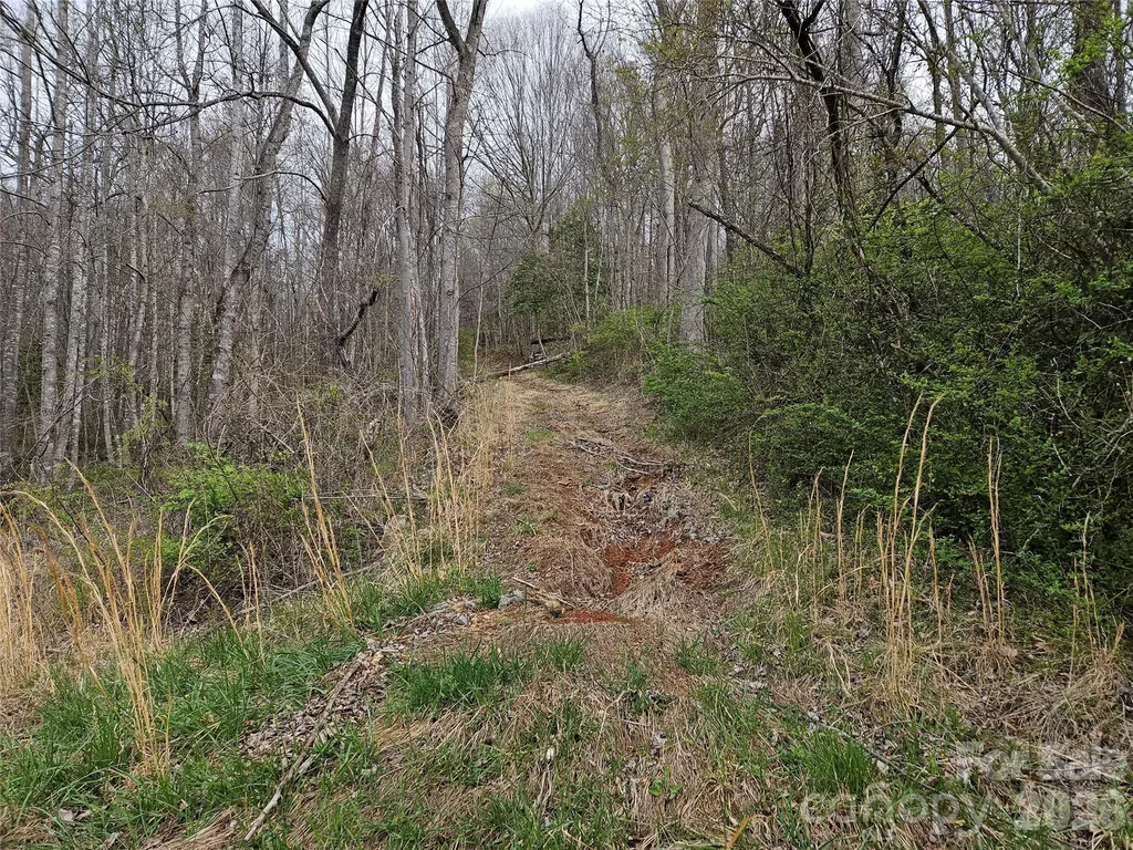 99999 Patton Hill Road Swannanoa NC 28778