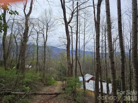 99999 Patton Hill Road Swannanoa NC 28778