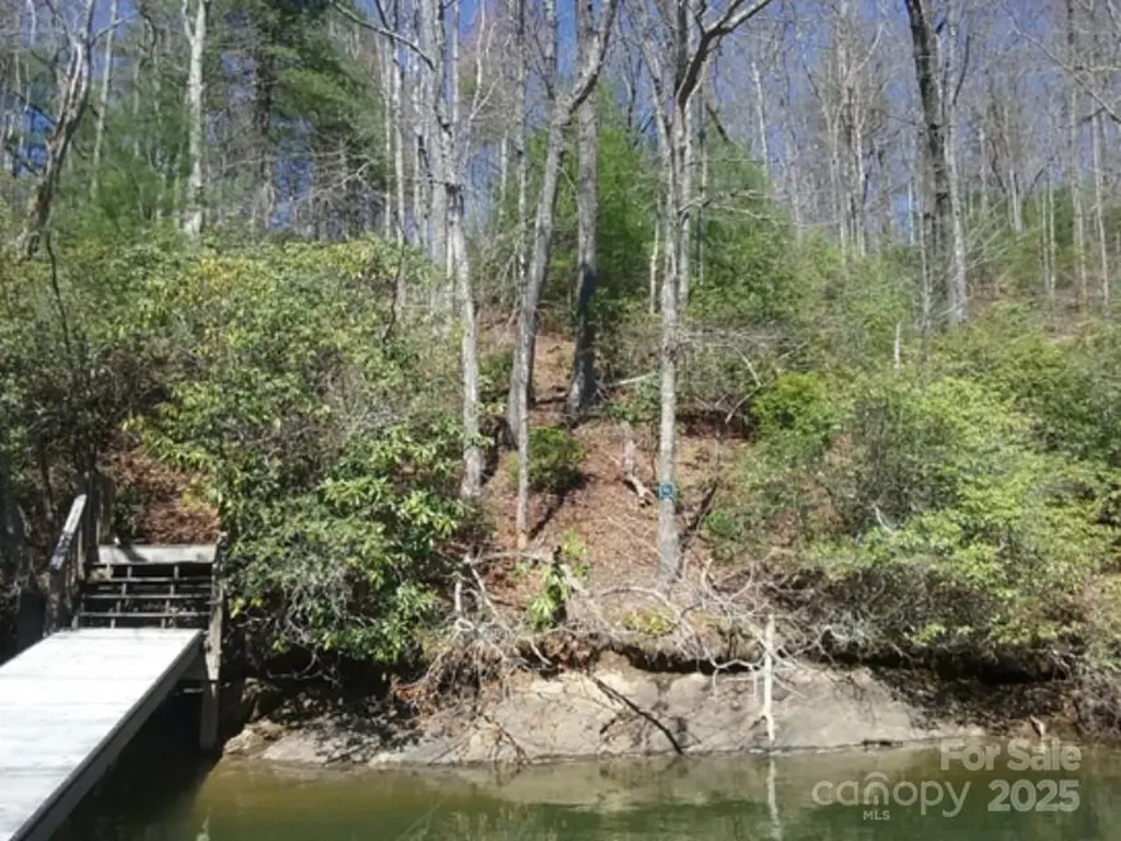 152 Mandolin Court Tuckasegee NC 28783