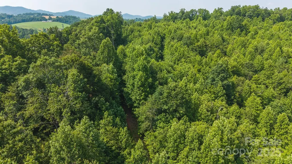0 Old Vashti Road Taylorsville NC 28681