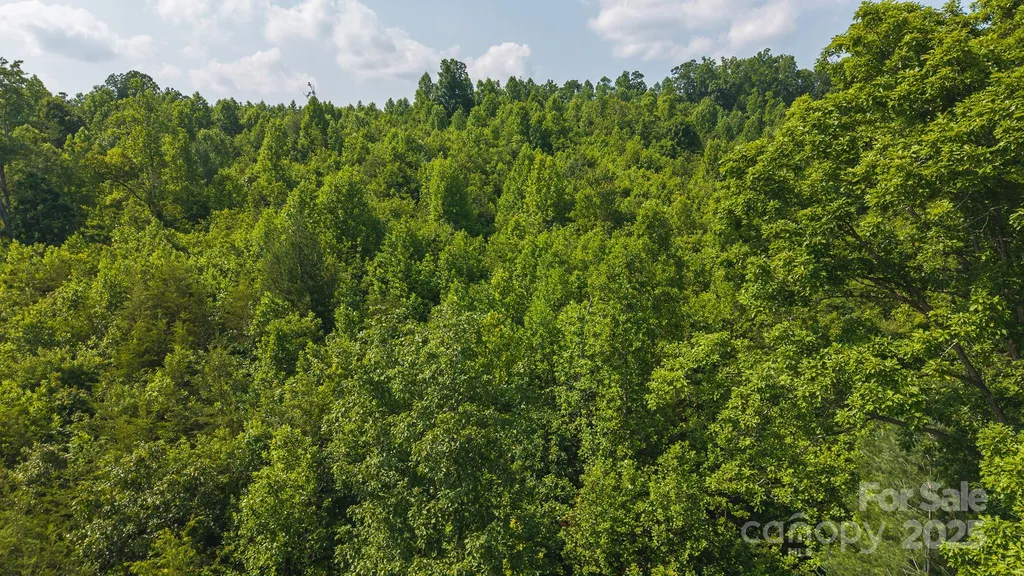0 Old Vashti Road Taylorsville NC 28681