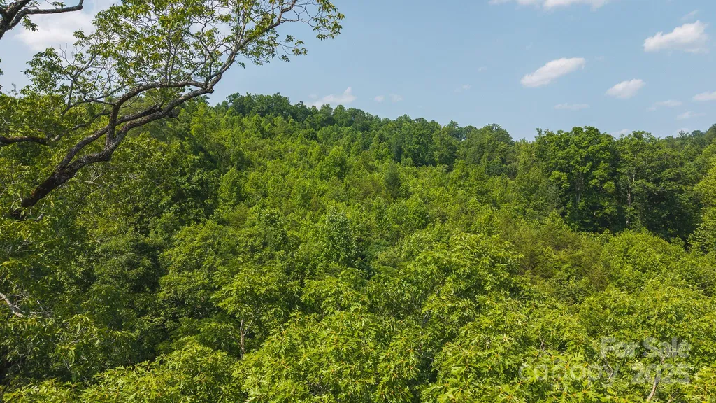 0 Old Vashti Road Taylorsville NC 28681