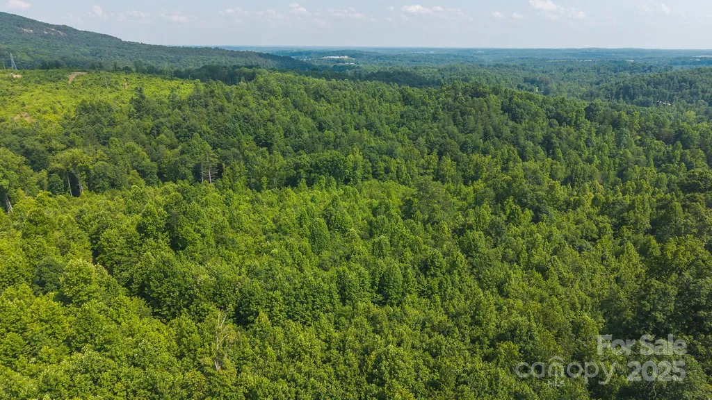 0 Old Vashti Road Taylorsville NC 28681