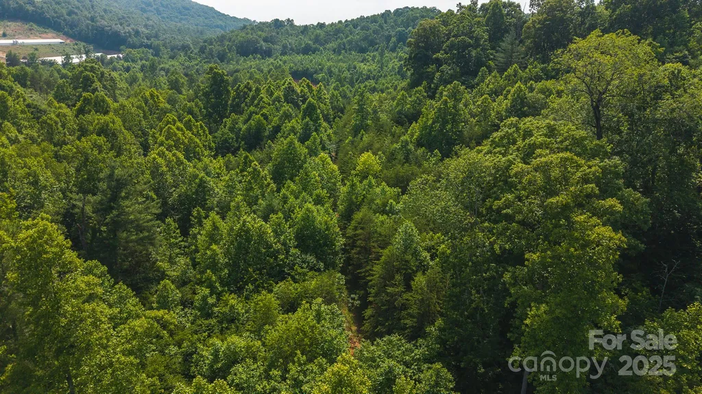 0 Old Vashti Road Taylorsville NC 28681